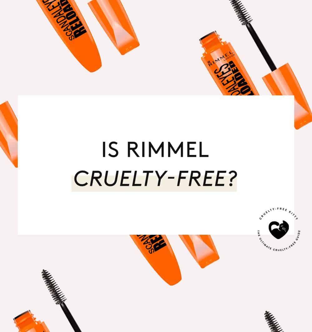 Is Rimmel London CrueltyFree? • Latest CrueltyFree Kitty Update